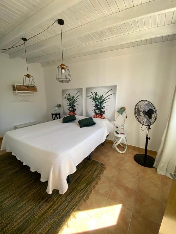 Casa Kiko Fuerteventura Lejlighed Cotillo Eksteriør billede